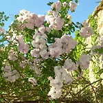 Domaine Des Escaunes Hotell Sernhac
