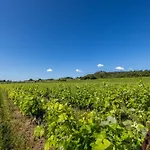 Domaine Des Escaunes Sernhac