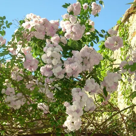 Domaine Des Escaunes Hotel Sernhac